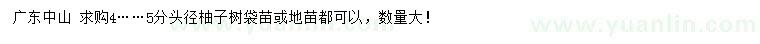 求購頭徑4、5公分柚子樹袋苗或地苗