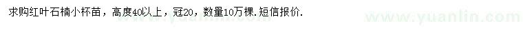 求購(gòu)高40公分以上紅葉石楠
