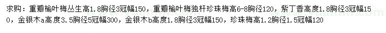 求購(gòu)重瓣榆葉梅、紫丁香、金銀木等