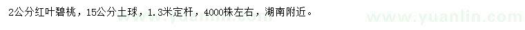 求購2公分紅葉碧桃