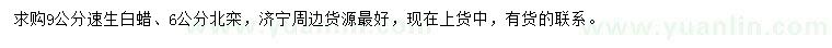 求購9公分速生白蠟、6公分北欒