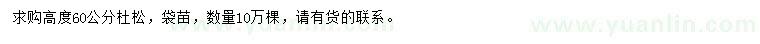 求購(gòu)高度60公分杜松