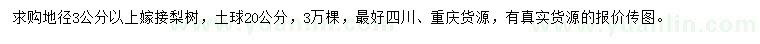 求購(gòu)地徑3公分以上嫁接梨樹(shù)
