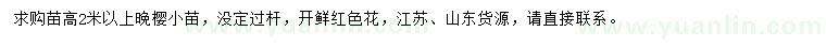 求購(gòu)高2米以上晚櫻小苗