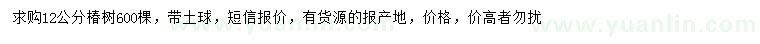 求購12公分椿樹(shù)