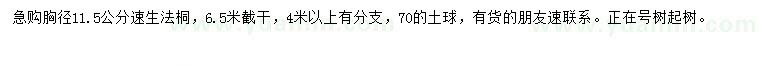 求購(gòu)胸徑11.5公分速生法桐