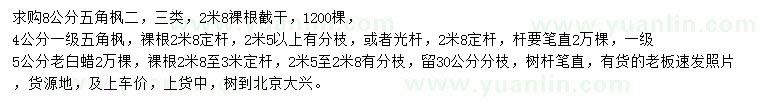 求購4、8公分五角楓、5公分老白蠟
