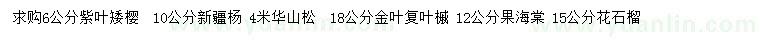 求購紫葉矮櫻、新疆楊、華山松等