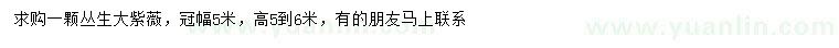 求購(gòu)冠幅5米叢生大紫薇