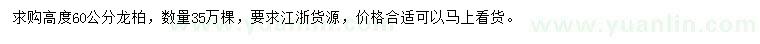 求購高度60公分龍柏