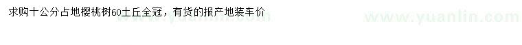 求購10公分櫻桃樹