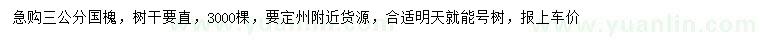 求購3公分國槐