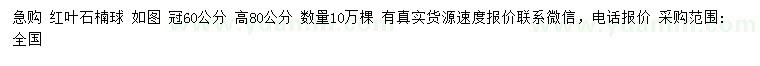 求購高80公分紅葉石楠球