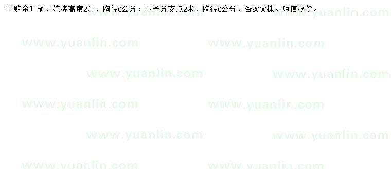 求購胸徑6公分金葉榆、衛(wèi)矛