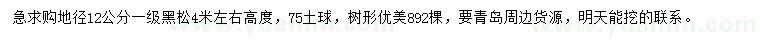 求購地徑12公分黑松