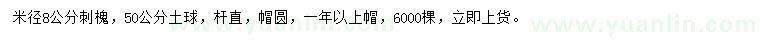 求購米徑8公分刺槐