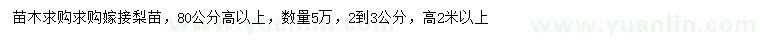 求購高80公分以上嫁接梨苗