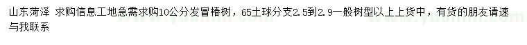 求購10公分椿樹
