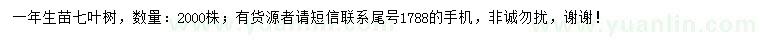 求購一年生苗七葉樹