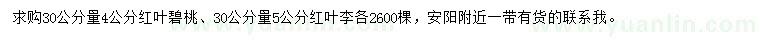 求購(gòu)30公分量4公分紅葉碧桃、5公分紅葉李