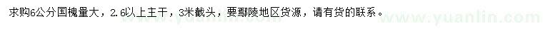 求購6公分國槐