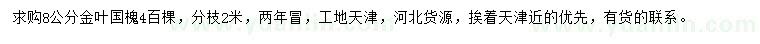 求購8公分金葉國槐