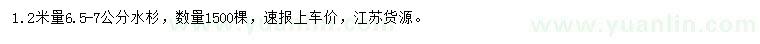 求購(gòu)1.2米量6.5-7公分水杉