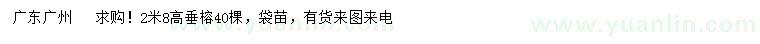 求購(gòu)高2.8米垂榕