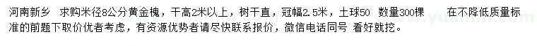 求購米徑8公分黃金槐
