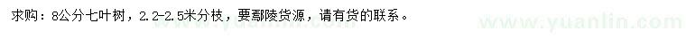求購(gòu)8公分七葉樹(shù)