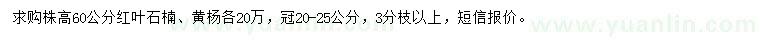 求購株高60公分紅葉石楠、黃楊