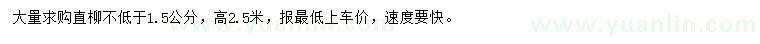 求購高2.5米直柳