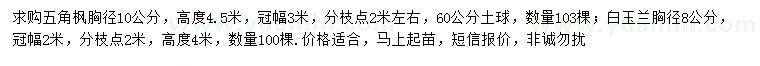 求購(gòu)胸徑10公分五角楓、8公分白玉蘭