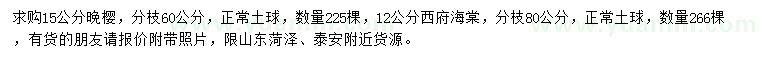 求購15公分晚櫻、12公分西府海棠