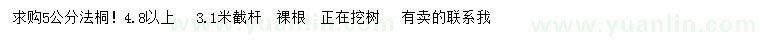 求購5公分法桐