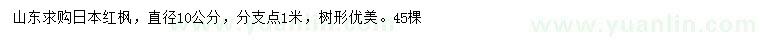 求購直徑10公分日本紅楓