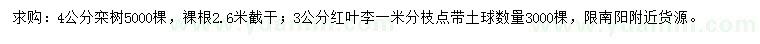 求購4公分欒樹、3公分紅葉李