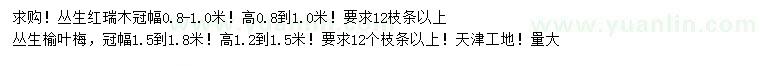 求購冠幅0.8-1米叢生紅瑞木、冠幅1.5-1.8米叢生榆葉梅