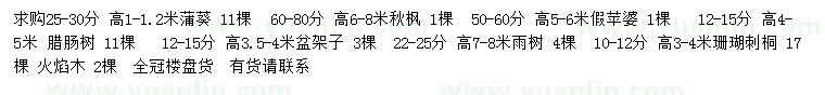 求購蒲葵、秋楓、假蘋婆等