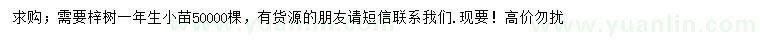 求購梓樹小苗