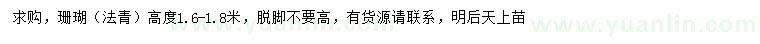 求購高1.6-1.8米珊瑚