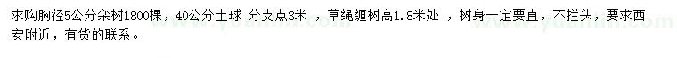 求購胸徑5公分欒樹