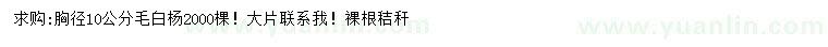 求購胸徑10公分毛白楊