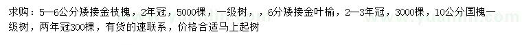 求購(gòu)金枝槐、金葉榆、國(guó)槐