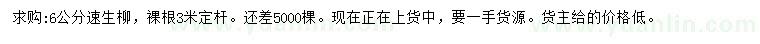 求購6公分速生柳