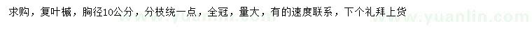 求購胸徑10公分復葉槭