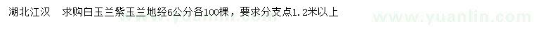 求購地徑6公分白玉蘭、紫玉蘭
