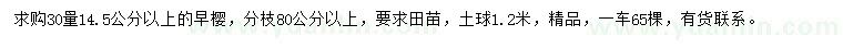求購30量14.5公分以上早櫻