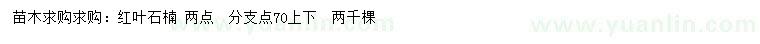 求購2公分紅葉石楠