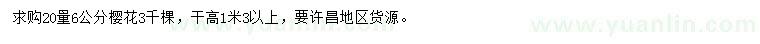 求購20量6公分櫻花